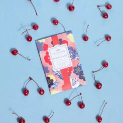 Greenleaf Sachet 6 Pack Primary Punch 11 Greenleaf Sachet 6 Pack Primary Punch -Chirst Seasonal Home Store GLG900566 6 52415.1696884621