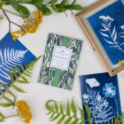 Greenleaf Sachet 6 Pack Garden Thyme -Chirst Seasonal Home Store GLG900570 5 45667.1696883535