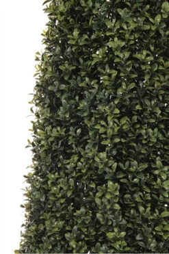 Chirst Seasonal Home Store -Chirst Seasonal Home Store MT16564N 3 50339.1559309389