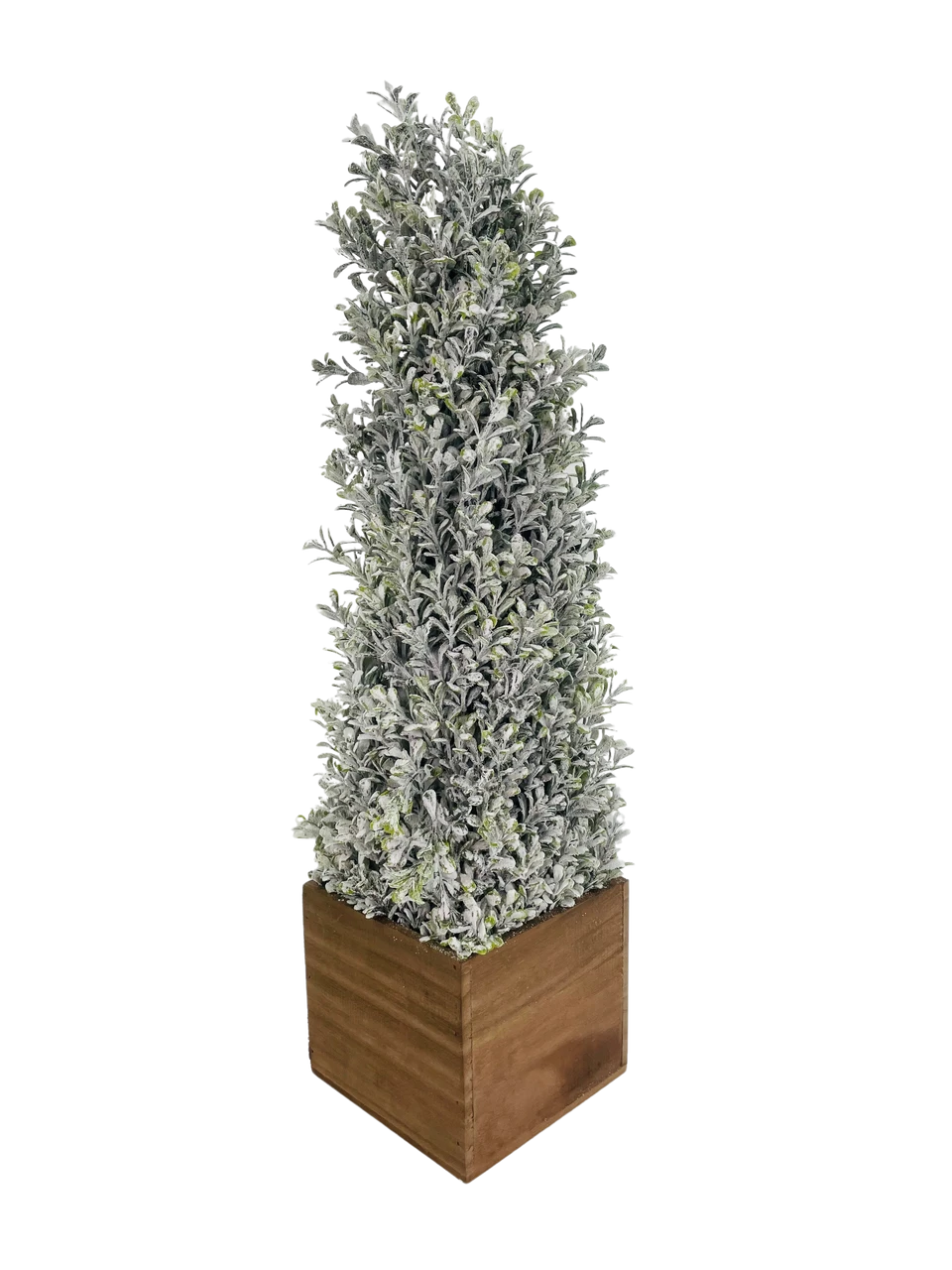 Topiary Snowy Boxwood Cone In Square Planter 24" 1 Topiary Snowy Boxwood Cone In Square Planter 24"