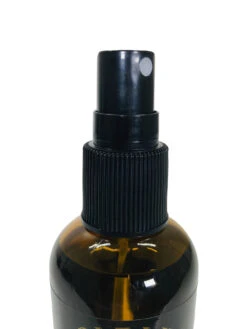 Orleans Home Fragrance Room Spray Orleans No. 9 4 Oz. -Chirst Seasonal Home Store Orleans Spray Nozzle Close Up removebg 88787.1596229202