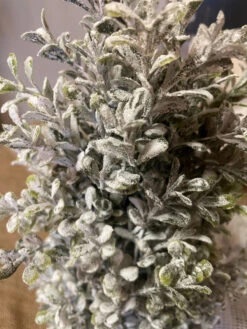 Topiary Snowy Boxwood Cone In Square Planter 24" 8 Topiary Snowy Boxwood Cone In Square Planter 24" -Chirst Seasonal Home Store Snowed Foliage Lifestyle 17162.1636559082