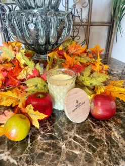 Swan Creek Timeless Collection Mulled Farmhouse Cider -Chirst Seasonal Home Store Timeless Mulled Cider Lifestyle 1 75927.1629214881