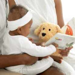 Warmies Plush Microwavable Lavender Scented Plush Golden Dog -Chirst Seasonal Home Store WARMCPDOG3 7 20422.1694010093