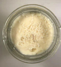 Swan Creek Timeless Collection Vanilla Pound Cake Candle 6 Swan Creek Timeless Collection Vanilla Pound Cake Candle -Chirst Seasonal Home Store vanilla pound 2 07639.1568229237